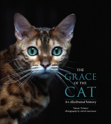 The Grace of the Cat: An Illustrated History - Pickeral, Tamsin, and Harrisson, Astrid (Photographer)