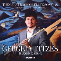 The Great Book of Flute Sonatas, Vol. 6: Czech & American Works - Gergely Ittzs (flute); Jzsef Gbor (piano)