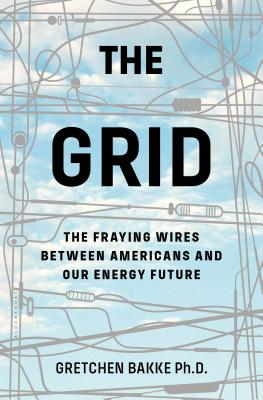 The Grid: The Fraying Wires Between Americans and Our Energy Future - Bakke, Gretchen, Ph.D.