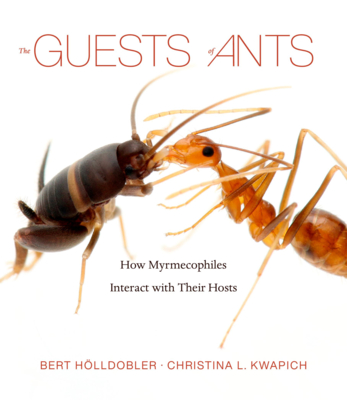 The Guests of Ants: How Myrmecophiles Interact with Their Hosts - Hlldobler, Bert, and Kwapich, Christina L