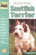 The guide to owning a Scottish terrier