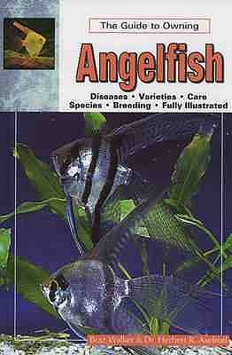 The Guide to Owning Angelfish - Axelrod, Herbert R., and Walker, Braz