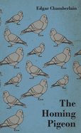 The Homing Pigeon