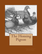 The Homing Pigeon