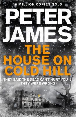 The House on Cold Hill - James, Peter