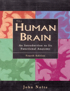 The Human Brain: An Introduction to Its Functional Anatomy