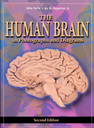 The Human Brain in Photographs and Diagrams - Angevine, Jay B, PhD, and Nolte, John, PhD