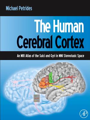 The Human Cerebral Cortex: An MRI Atlas of the Sulci and Gyri in MNI Stereotaxic Space - Petrides, Michael