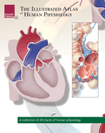 The Illustrated Atlas of Human Physiology: A Collection of 20 Anatomical Charts of Human Physiology