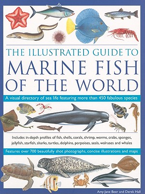 The Illustrated Guide to Marine Fish of the World: A Visual Directory of Sea Life Featuring More Than 450 Fabulous Species - Beer, Amy-Jane, Dr., and Hall, Derek