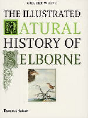 The Illustrated Natural History of Selborne - White, Gilbert
