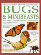 The Illustrated Wildlife Encyclopedia: Bugs & Minibeasts: Beetles, Bugs, Butterflies, Moths, Insects, Spiders