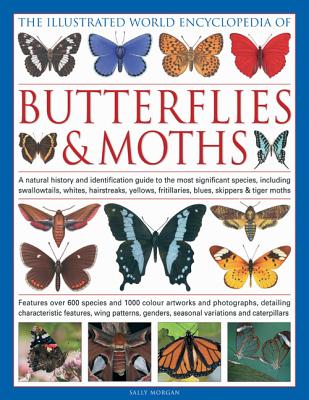 The Illustrated World Encyclopedia of Butterflies & Moths: A Natural History and Identification Guide to the Most Signifigant Species, Including Swallowtails, Hairstreaks, Yellows, Fritillaries, Blues, Skippers and Tiger Moths - Morgan, Sally