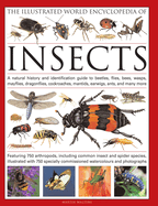 The Illustrated World Encyclopedia of Insects: A Natural History and Identification Guide to Beetles, Flies, Bees, Wasps, Springtails, Mayflies, Stoneflies, Dragonflies, Damselflies, Cockroaches, Mantes, Earwigs, Stick and Leaf Insects, Bristletails...