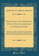 The Indians and Aboriginal Ruins Near Chachapoyas in Northern Peru: Explorations Made in 1893 Under the Patronage of the Late Mr. Henry Villard, to the Memory of Whom This Monograph Is Respectfully Dedicated (Classic Reprint)