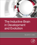 The Inductive Brain in Development and Evolution