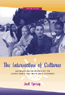 The Intersection of Cultures: Multicultural Education in the United States and the Global Economy - Spring, Joel H