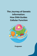 The Journey of Genetic Information: How DNA Guides Cellular Function