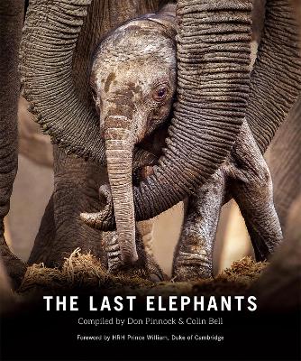 The Last Elephants - Bell, Colin, and Pinnock, Don