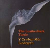 The Leatherback Turtle: Y Crwban Mor Lledrgefn