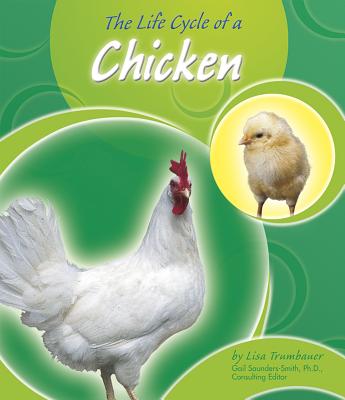 The Life Cycle of a Chicken - Trumbauer, Lisa