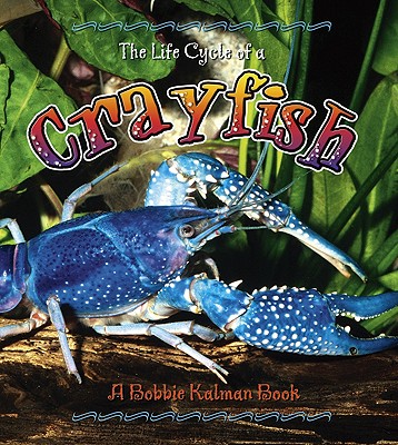 The Life Cycle of a Crayfish - Kalman, Bobbie, and Sjonger, Rebecca