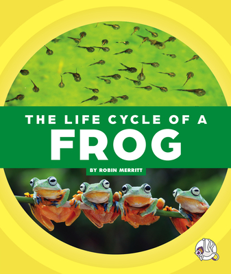 The Life Cycle of a Frog - Merritt, Robin