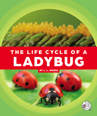 The Life Cycle of a Ladybug - Owens, L L