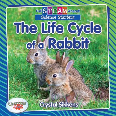 The Life Cycle of a Rabbit - Sikkens, Crystal