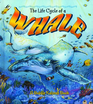 The Life Cycle of a Whale - Kalman, Bobbie