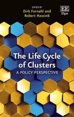 The Life Cycle of Clusters: A Policy Perspective - Fornahl, Dirk (Editor), and Hassink, Robert (Editor)