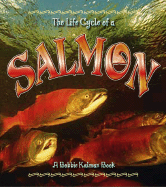 The Life Cycle of the Salmon
