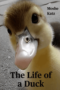 The Life of a Duck