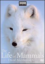 The Life of Mammals, Vol. 2 - 