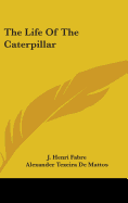 The Life Of The Caterpillar