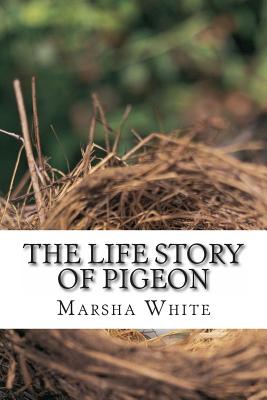 The Life Story of Pigeon: Moving from trees to windows, a side-effect of deforestation - White, Marsha