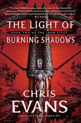 The Light of Burning Shadows - Evans, Chris, Professor