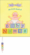 The Little Book of Baby Names