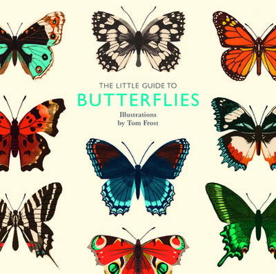 The Little Guide to Butterflies - Davies, Alison