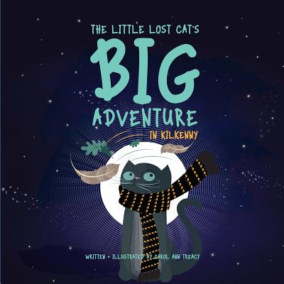 The Little Lost Cat's Big Adventure in Kilkenny - Power, Suzanne (Editor)