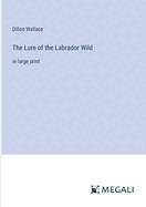 The Lure of the Labrador Wild: in large print