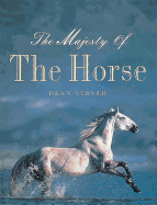 The Majesty of the Horse