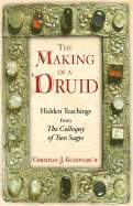 The Making of a Druid: Hidden Teachings from the Colloquy of Two Sages
