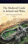 The Medieval Castle in Ireland and Wales: Essays in Honour of Jeremy Knight - Kenyon, John R (Editor), and O'Conor, Kieran (Editor)