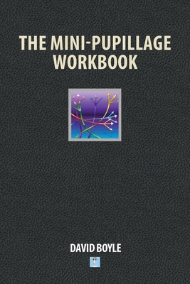 The Mini-Pupillage Workbook - Boyle, David