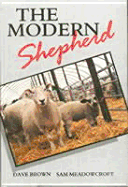 The Modern Shepherd