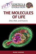 The Molecules of Life