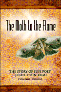 The Moth to the Flame