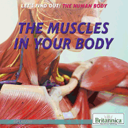 The Muscles in Your Body