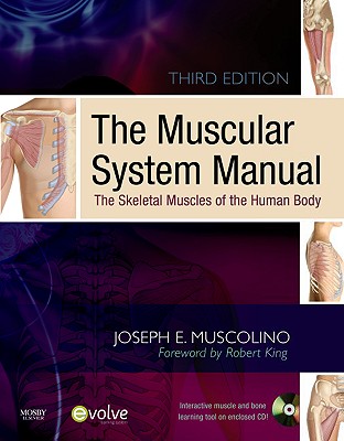 The Muscular System Manual: The Skeletal Muscles of the Human Body - Muscolino, Joseph E, Dr., DC